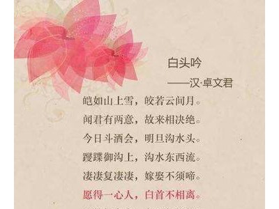 最浪漫的古风表白句子