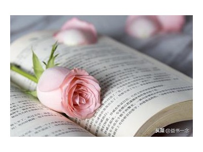 表达爱意的句子经典