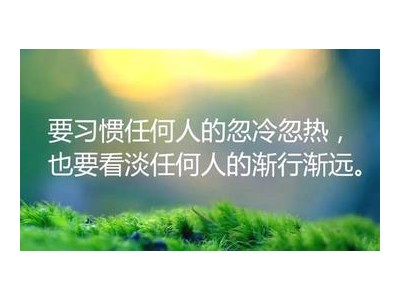 精致女人励志语录