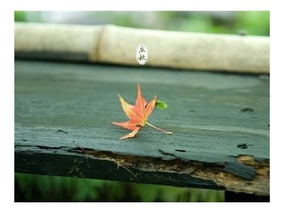 朋友圈立秋幽默说说