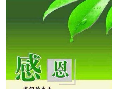 感恩节对父母老师的话