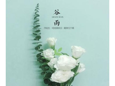 谷雨节气发朋友圈句子