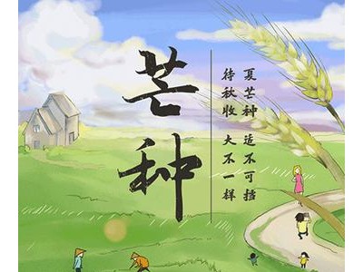 芒种必点赞的朋友圈说说