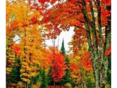 发朋友圈早安的句子立秋