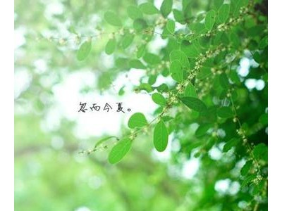 夏天发微信朋友圈的句子