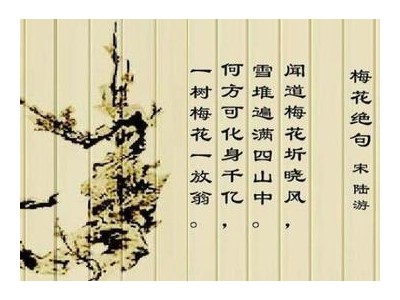 陆游描绘梅花的诗句
