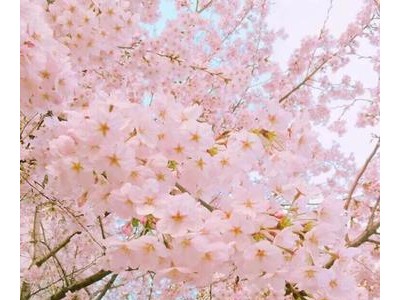四月发朋友圈句子