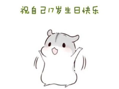 适合17岁发的生日说说