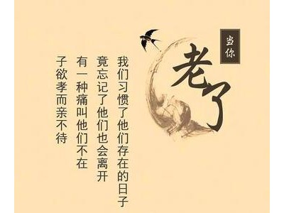 感恩母爱最朴实的诗句