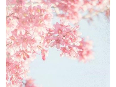 只爱一人的诗句