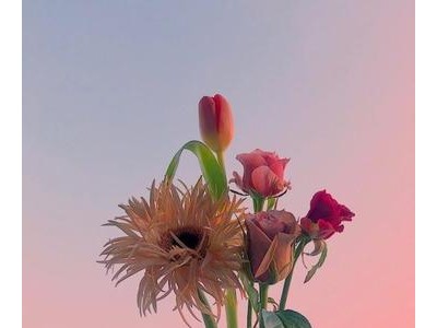 每日醒来面朝阳光嘴角上扬说说励志唯美句子