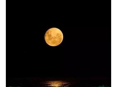 形容孤独寂寞的诗句