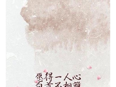 关于渴望爱情的诗