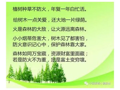 森林防火标语八个字_小学生森林防火标语