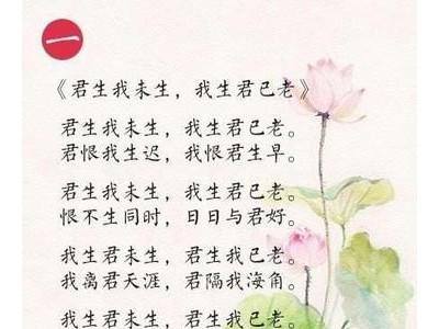 描写人物心情的诗句