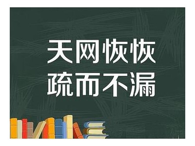 天网恢恢，疏而不漏