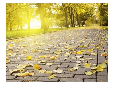 形容秋天的句子唯美描绘秋天景色优美句子