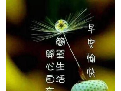描写清晨的优美句子大全