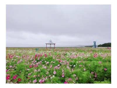 美景的句子发朋友圈