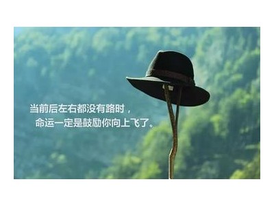 人生感悟经典语录正能量