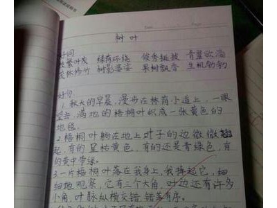 好词好句好段摘抄精选