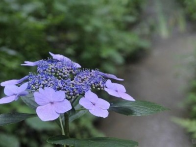 付出和收获的经典语录