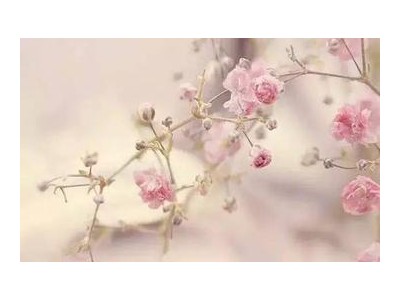 感叹人生聚散的句子