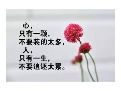 优美句子人生感悟