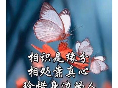 祝福语暖心简短句子