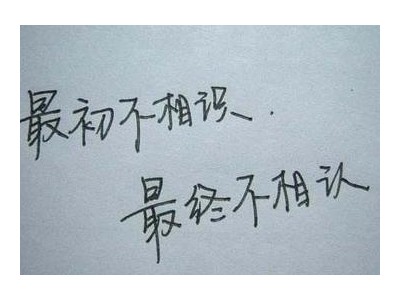 无语到极点的句子