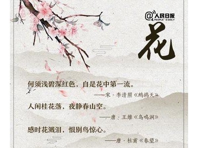 形容花漂亮唯美的诗句