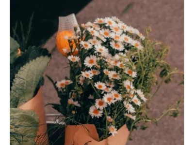 关于生活的文案治愈系