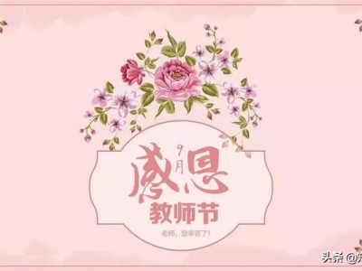 赞美老师的句子优美短句