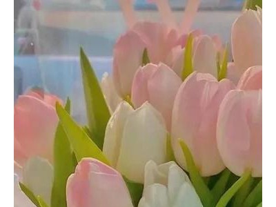 关于花的文案高级感