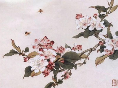 花的诗句大全飞花令