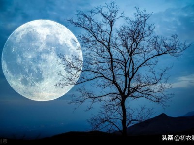 带有月亮的诗句