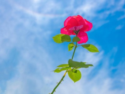 人心难测的经典句子