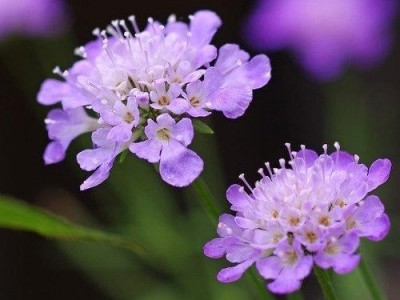 给自己加油打气的句子