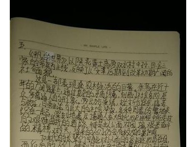 平凡的世界读书笔记摘抄