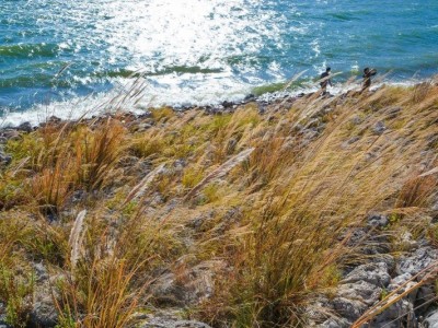 形容女子美丽的诗句