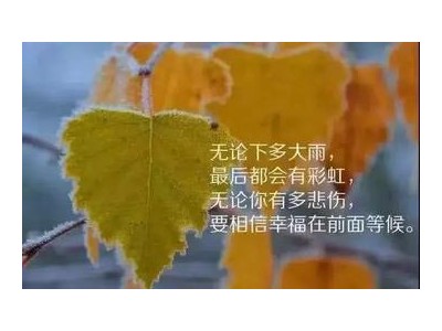 心态好的简短经典句子