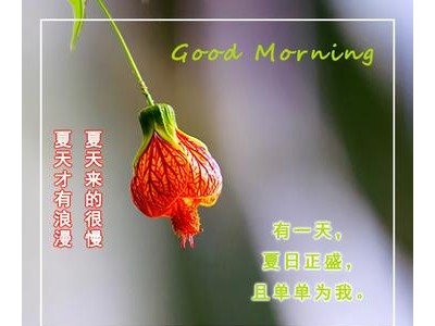 祝心情好的句子精选