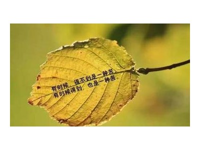 积极向上的句子发朋友圈