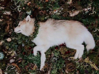 最美句子字字精辟句句诛心