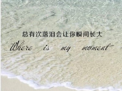 关于大海的句子唯美