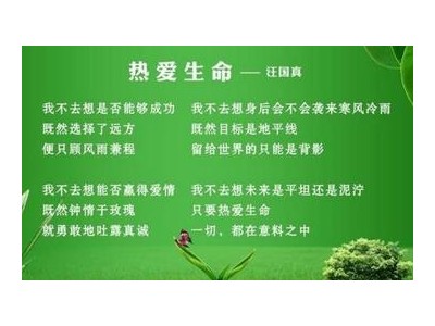 爱护环境的句子
