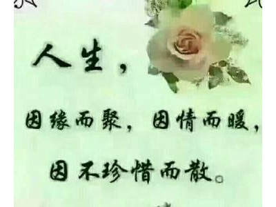 别高估自己的经典句子