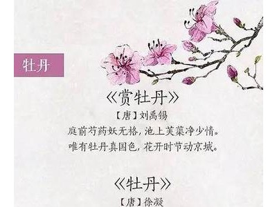 带花字的诗句飞花令