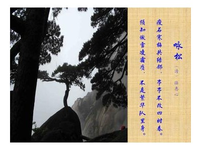 带松的诗句有哪些
